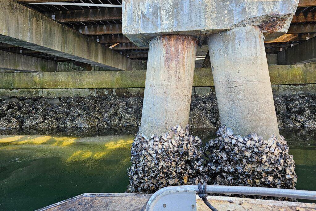 Marine Pier Coastal Inspection, Gold Coast, QLD